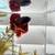 Fish Tank 5Gal Complete Set + Male Betta (Rehome) 2 thumbnail