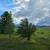 Manufactured Home in Deer Lodge 21 thumbnail