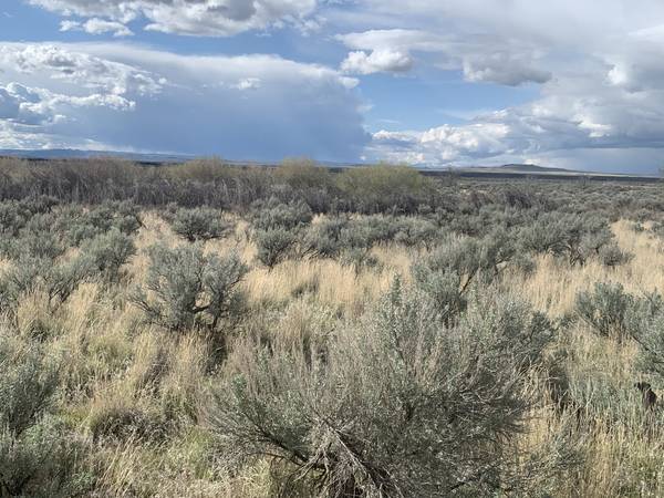 $129,000 20 Acres of Land! (Crater Butte)64290296955649124