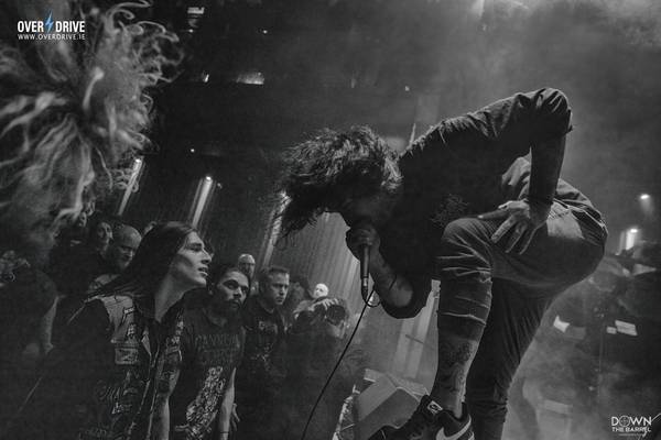 Brutal Vox (santa rosa)63148829867521122