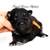 German Shepherd 9 thumbnail
