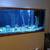 125 gallon fish aquarium with a self filtration system 1 thumbnail