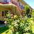 CREATE YOUR OWN GARDEN AND ACCENT WALL 5 thumbnail
