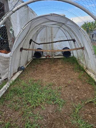 5x10 PVC Chicken Tractor 1