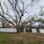 K RUSH TREE SERVICE AND LANDSCAPING LLC 20 thumbnail