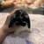 Holland lop 13 thumbnail