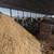 Sawdust / Shavings Animal Bedding 2 thumbnail