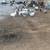 Laying hens pullets chickens ducks geese turkeys goats 8 thumbnail