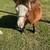 Mini Pony 1 thumbnail