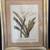 3 Botanical framed prints 3 thumbnail