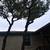Rumaldo’s landscaping tree trimming tree removal 9 thumbnail