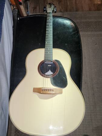 Applause roundback guitar 1