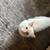 Cat 5 thumbnail