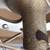 RALEIGH INTERNATIONAL RACING ROAD BIKE 70-72 ONLY YEAR MADE IN GREEN , 14 thumbnail