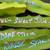 Tasty Dragons Fresh Cut Limited Edition UNROOTED DRAGON FRUIT PLANTS. 18 thumbnail