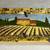Bella Casa Ceramic Tuscan Farmhouse Themed Set by Ganz 5 pcs. like new 2 thumbnail