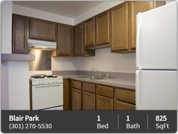 $1,399 / 1 habitación - 825 pies² - 1 habitación / 1 baño en alquiler. ¡No te decepcionará! (Silver Spring - Cerca del metro Silver Spring)63779285851265121