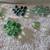 Marbles Marbles and More Marbles 2 thumbnail