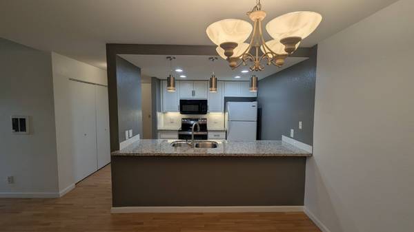 Large modern 2B/2B Condo in Park Regency complex 1