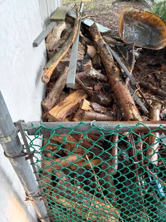 FREE CAMPFIRE / BONFIRE SPLIT WOOD 1