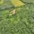 593 Acres in Bruce Crossing - MLS# 214266 19 thumbnail