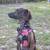 Plotthound 7 thumbnail