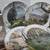 11 Vintage Monthly Nature Scenes Peter Barrett Collector Plates 1979 2 thumbnail