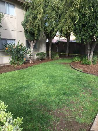 $2,675 / 3br - 1250ft2 - NOW RENTING! 3 BEDROOM/2 BATH UPSTAIRS - MOST UTILITIES INCLUDED (Vista)63865932401537121