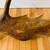 Giant White Brown Alaskan Moose Shed Antler Paddle Horn 14 thumbnail