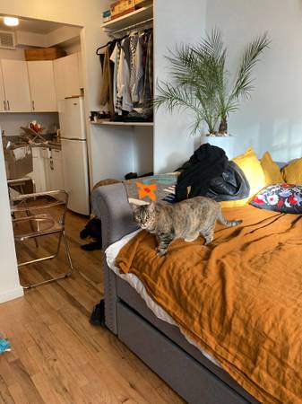 $2,500 / 250ft2 - $2500 studio in east village (East Village)63788457294081120