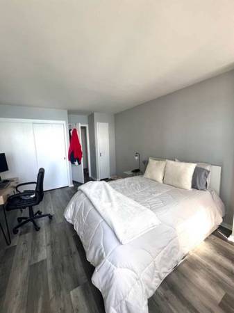$700 / 1br - 700ft2 - Edgewater condominio de una habitación (Chicago)63960148905986120