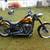 Harley Davidson 2 thumbnail