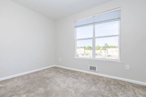 1 All-electric Kitchen, Disability Access, Studio 1