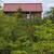 Tiny house on a regenerative farm 2 thumbnail