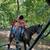 Black Gaited Gelding 8 YEAR OLD ❤️ Solid Trail Horse. 18 thumbnail