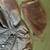 Affliction Jacket (Black Premium) 3 thumbnail