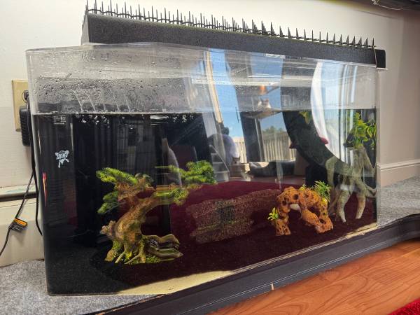 SeaClear 36 & Axolotl (Londonderry)63656332078851121
