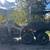 2015 Can-AM Outlander 6x6 1000 XT 2 thumbnail