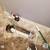 Need A Handyman or Plumber (225 239 6528) 8 thumbnail