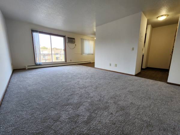 $1,150 / 1br - 650ft2 - MOVE IN THIS WEEKEND! Bright, Spacious One-Bed w/ Balcony!- Video Tour (Mounds View)63868702994179120