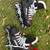 Roller blades 1 thumbnail