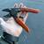 Anvil Pruners – Heavy-Duty Garden Cutting Tool 1 thumbnail