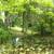 waterfront lot , on loon lake chain of lakes 10 thumbnail