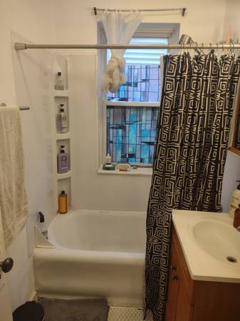 $1,450 / 2br - 1200ft2 - Beautiful, spacious light and airy two-bedroom apartment with large living room, (Chicago)63781607469571124