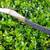 Recurve bow traditional style for decor or sport 1 thumbnail