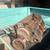 1963 engine block {283}and 3 speed transmission 1 thumbnail