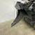 SKID STEER - AMFG STUMPZILLA STUMP BUCKET BEAST! - WWW.IDIGTX.COM 13 thumbnail