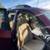 Exceptional 2012 BMW X5 xDrive35i – Ready for a New Family 6 thumbnail