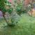 $1750 1BR Quiet private yard 6 thumbnail