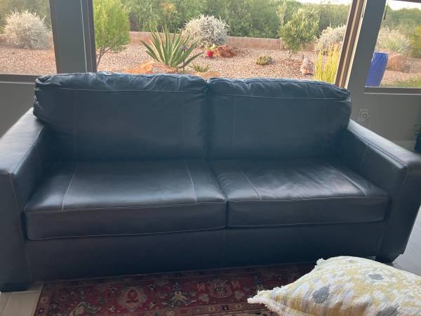 Two Leather couches 1